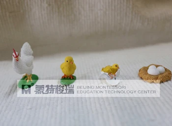 pvc фигурка Истинска симулация модел играчки набор от жизнения цикъл на пиле