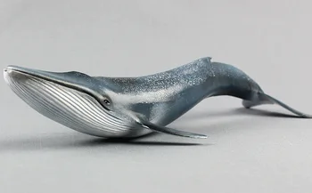 Моделиране на морски живот Джудже Синият Кит е Статична Пластмасова играчка модел 27x10 см Еко PVC Познаването на зависимостта модел играчка, подарък w0598