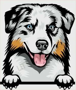 Австралийската Овчарка която гледа Порода Кучета Цветно Прозорец Стенен Лаптоп с/bg-proofSticker