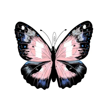 Персонални Стикер Черна морфо пеперуда Пеперуда Интересна PVC Автомобили Стикер Аксесоари За Мотоциклети